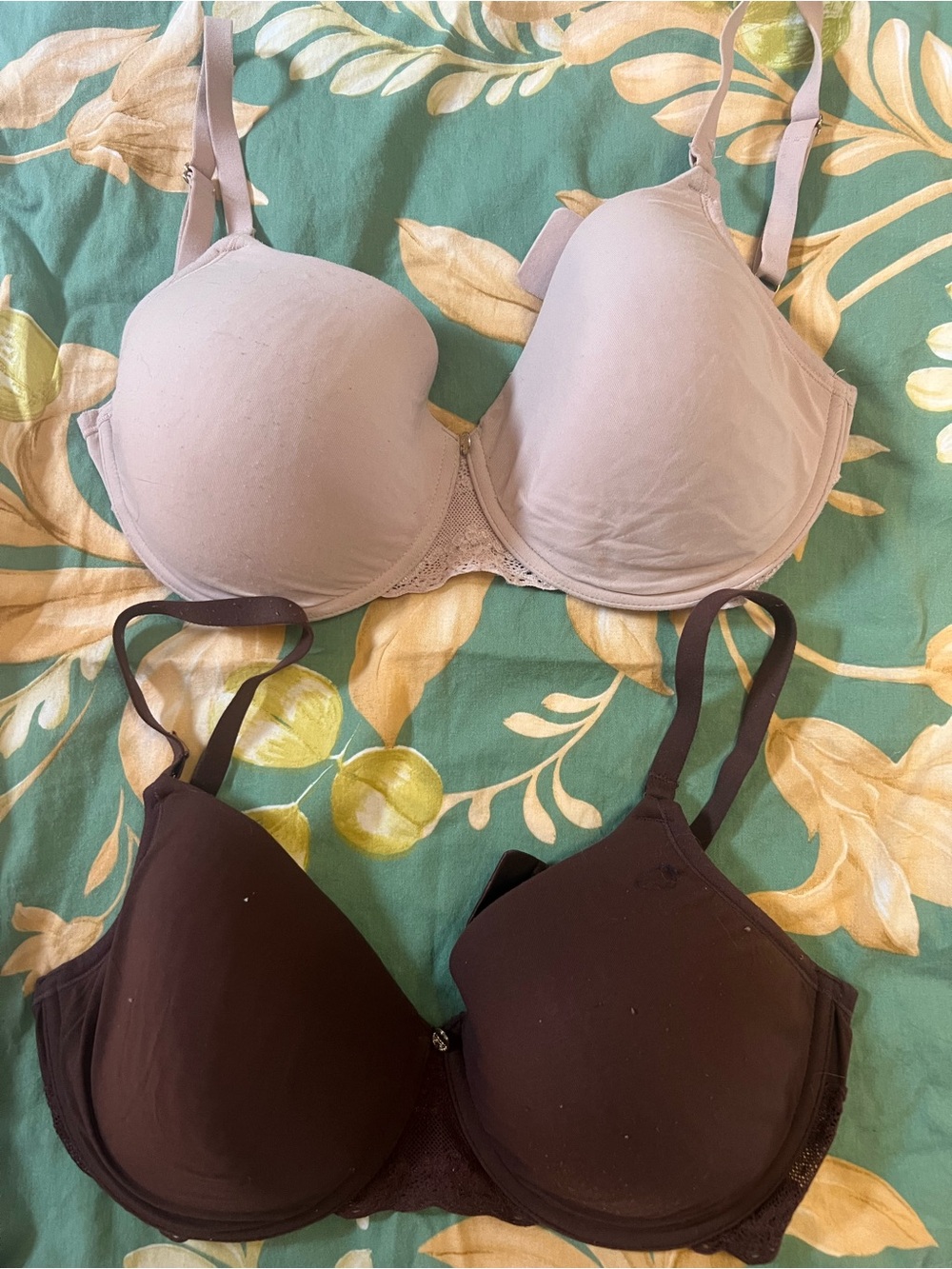 Natori Double Pack T-Shirt Bras in Light Beige and Dark Brown 30G 30DDD